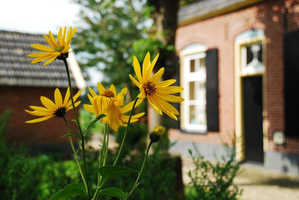 De Bolderie Bed & Breakfast Markelo Dış mekan fotoğraf